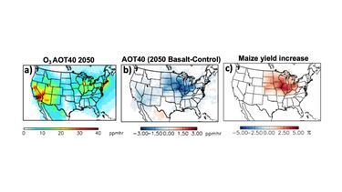 Impact of basalt application of summertime surface ozone (O3), with (a) surface O3 AOT40 (air quality standard to protect crop health) in 2050, (b) changes in AOT40 (air quality standard to protect human health) and (c) increases in maize crop yield in the US Corn Belt resulting from reductions in summertime ozone shown in (a).