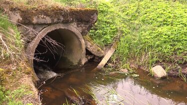 Sewer pipe