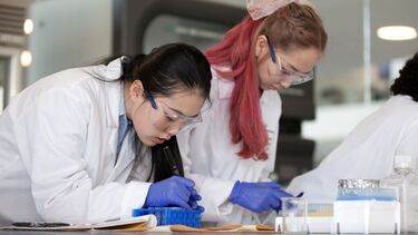 Photo of students doing experiments in the lab