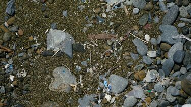 Microplastics amongst sand and pebbles