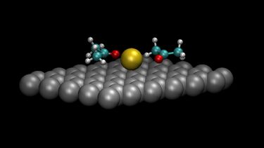 A graphic of a model of cells