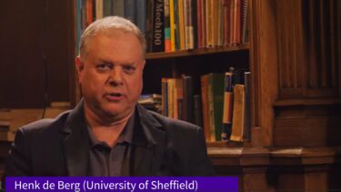 portrait of  prof henk de berg