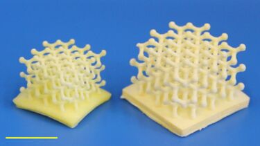 3D printed scaffolds 