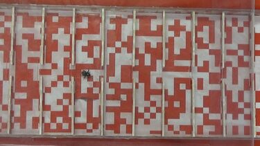 Bee activity research