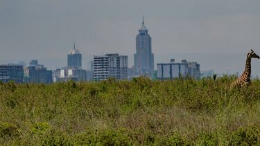 Nairobi