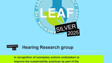 LEAF sil