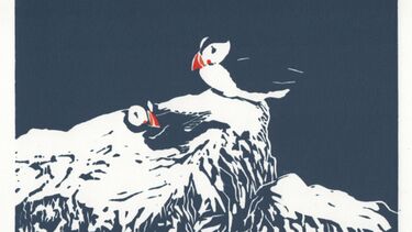 Puffins on ledge art