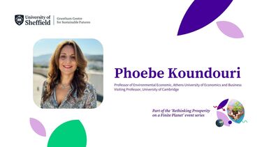 A poster for the Phoebe Koundouri event featuring her profile photo