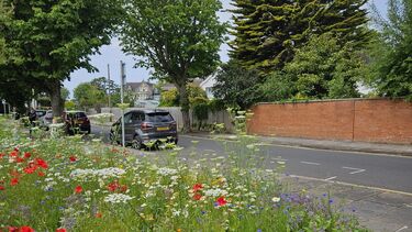 Grass Verge Overgrowing on UK road with traffic