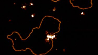 Atomic Force Microscopy (AFM) image of the protein binding to DNA