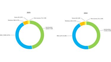 Pie chart showing the severity of procedures 2024-2025