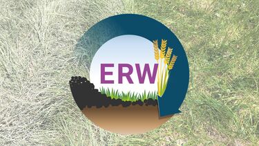 ERW Logo on Grass Background