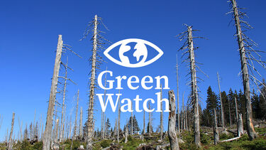 Trees destroyed by acid rain with a Green Watch logo overlaid on top