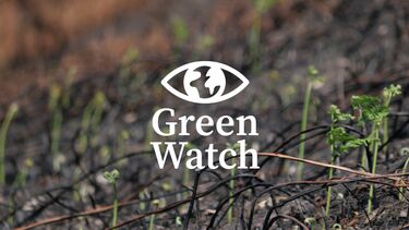 Close up of a burnt landscape with the Green Watch logo overlaid on top