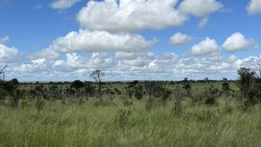 Kruger National Park, South Africa