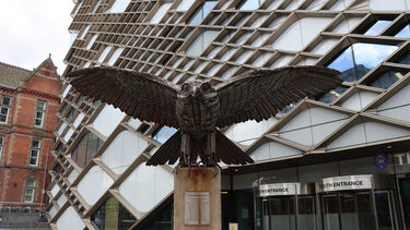 An image of the Allen the Eagle sculpture outside the Diamond