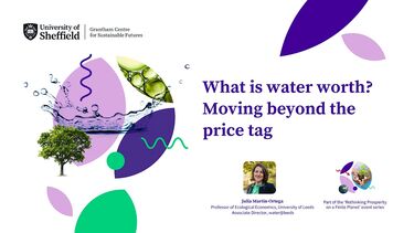 A graphic for the 'What is water worth?' lecture with Professor Julia Martin-Ortega