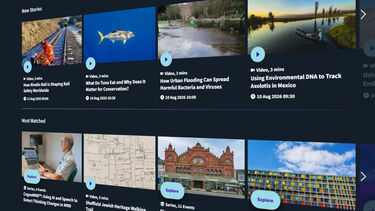 A screenshot of the Player homepage displaying numerous content thumbnails