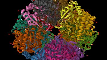 A graphical rendering of an alternative protein