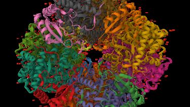 A graphical rendering of an alternative protein
