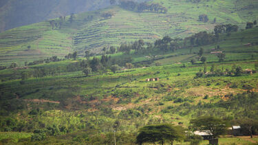 Supplied by Getty image, image of a landscape