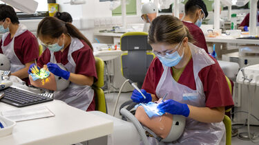 Dental student practicing on a dummy mouth.