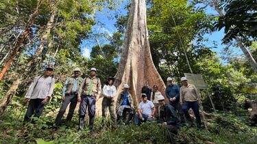 A group of people lined up and posing for the camera in front of the trunk of a huge tree in the Peruvian rainforest
