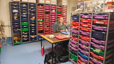 Volunteer helping with labelling a recently skeletonised specimen