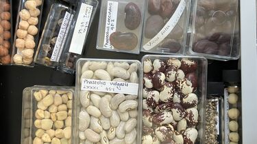 Image of a modern seed collection