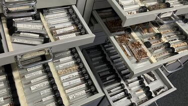 Image of the modern seed reference collection