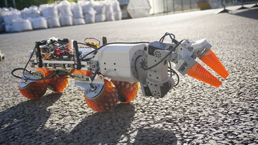 Cute little robot