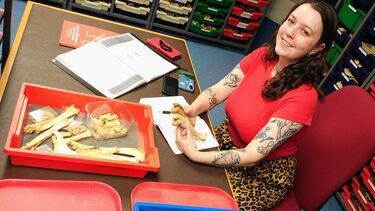Image of a researcher using the collection