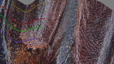 3D example of Extended depth of field with surface analysis using the Leica M205C microscope suite