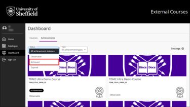 On the External courses page, the Status dropdown is selected and "Achieved" is highlighted