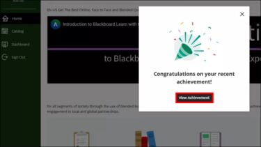On the External Courses page, a pop up says "Congratulations on your recent achievement!", there is a button below to View Achievement