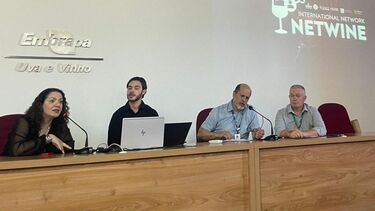 Panel of speakers on stage talking to the microphones