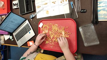 Image of a research measuring fish bones