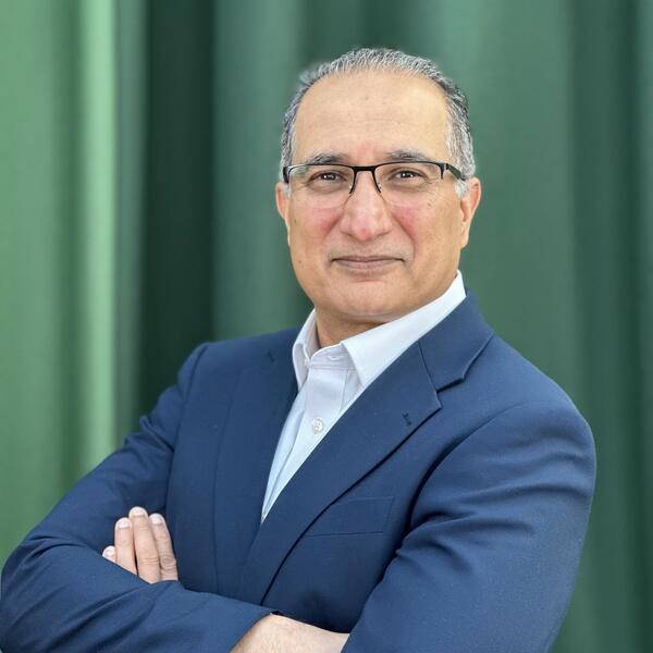 Profile picture of Professor Arshad Majid