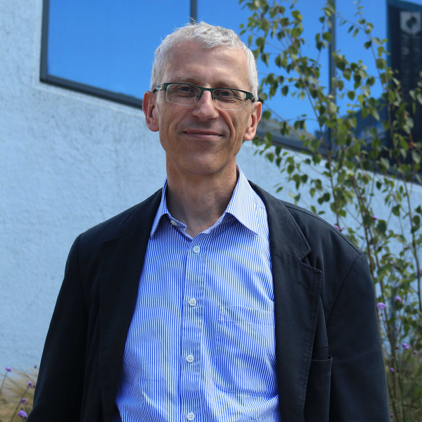 Profile picture of Professor Mark Fox