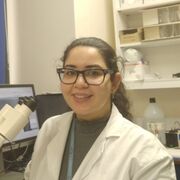 Sara Mermarpour Hobbi