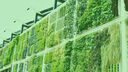 Hydroponics