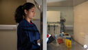 A student researcher in the lab