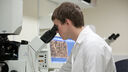 Researcher looking through microscope