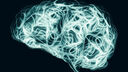 Graphic of human brain