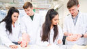 Students studying human anatomy
