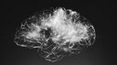 White diagram of neurons in brain
