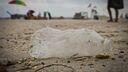 A single-use plastic water bottle recovered during a recent beach cleanup