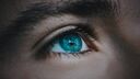 Close-up of human eye
