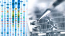 Genetic testing