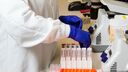 A researcher is organising genetic samples in a lab setting